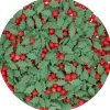 FunCakes Posypki Cukrowe | Dekoracje cukrowe Ostrokrzew Mix 55 g